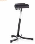 HJH Stehhilfe TOP WORK 30 665140 schwarz