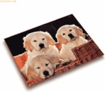 L&auml;ufer Schreibunterlage Motiv-Poster 40x53 cm Hunde