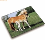 L&auml;ufer Schreibunterlage Motiv-Poster 40x53 cm Pferd + Fohlen