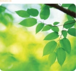 Fellowes Mauspad Earth Series recycelt 228x203mm Bl&auml;tter