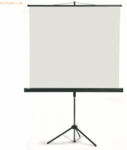 Franken Stativleinwand LWST225 240x240cm