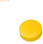 Maul Rundmagnet Solid 20 mm 0,3 kg Haftkraft 10 St&uuml;ck gelb