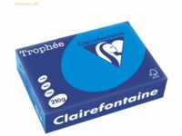 4 x Clairefontaine Kopierpapier Trophee A4 210g/qm VE=250 Blatt karibi