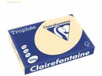5 x Clairefontaine Kopierpapier Trophee A4 120g/qm VE=250 Blatt chamoi