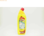 Reinex WC-Reiniger Gel Citro 126 750 ml
