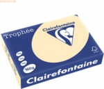 4 x Clairefontaine Kopierpapier Trophee A4 160g/qm VE=250 Blatt chamoi