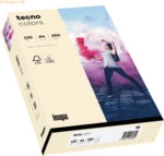 Inapa Multifunktionspapier tecno colors A4 120 g/qm VE=250 Blatt hellc