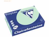 4 x Clairefontaine Kopierpapier Trophee A4 210g/qm VE=250 Blatt hellgr