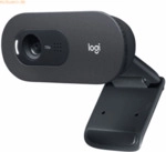 Logitech Webcamera C505 schwarz
