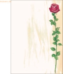 Sigel Designpapier Rose Bloom A4 90g/qm VE=25 Blatt