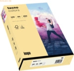 5 x Inapa Multifunktionspapier tecno colors A4 120 g/qm VE=250 Blatt c