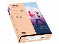 5 x Inapa Multifunktionspapier tecno colors Pastell A3 80 g/qm VE=500