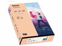 Inapa Multifunktionspapier tecno colors Pastell A4 160g/qm VE=250 Blat