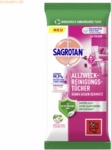 Sagrotan Reinigungstuch 3256955 Bl&uuml;tenfrisch/Gr&uuml;ner Apfel 60 St&uuml;ck