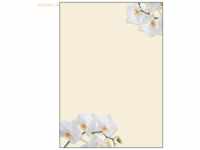 Sigel Designpapier White Orchid A4 90g/qm VE=50 Blatt
