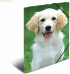 HERMA Gummizugmappe A3 PP (Polypropylen) Hunde