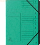 Exacompta Ordnungsmappe 541203E DIN A4 12 F&auml;cher Karton gr&uuml;n