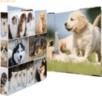 HERMA Ringbuch A4 Karton 2 Ringe Hunde
