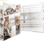 HERMA Ringbuch A4 Karton 2 Ringe Katzen