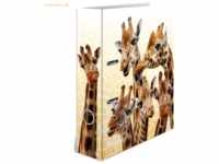 10 x HERMA Motivordner A4 70mm Exotische Tiere Giraffenfreunde