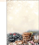 Sigel Designpapier Weihnachten A4 90g/qm 25 Blatt Winter Smell mit Zim