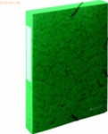 10 x Exacompta Dokumentenbox A4 Exa Box Scotten 600g/qm mit Gummizug g