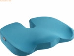 Leitz Sitzkissen Ergo Cosy blau