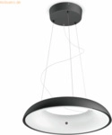 Signify Philips Hue White Amb. Amaze Pendelleuchte schwarz 3000lm DS