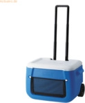 Coleman K&uuml;hlbox 50QT Polylite Wheeled Mesh 2000036081