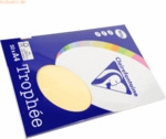 5 x Clairefontaine Kopierpapier Pollen A4 160g/qm 50 Blatt chamois