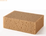 Magnetoplan Schwamm 12298 16x5x10cm feinporig braun