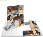 HERMA Sammelmappe A4 Pappe Pferde