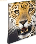 HERMA Sammelmappe A3 PP 'Leopard'