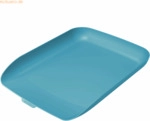 6 x Leitz Briefkorb Cosy A4 Polystyrol blau