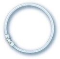 Osram GmbH Osram T5 FC 40W/840 Circline LUMILUX Cool White 2GX13