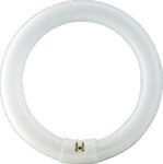 Philips Master TL-E Circular 40W 840 4000K 3200lm G10q