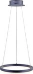 Paul Neuhaus LED-Pendelleuchte anthrazit 'Titus' 3000K 28W 2381-13
