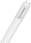 LEDVANCE GmbH Ledvance LEDtube T5 AC HE14 P 7W 840 549mm 1000lm AUSLAUF
