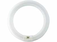 Philips 55967815, Philips MASTER TL-E Circular - Fluorescent lamp - Energieverbrauch: