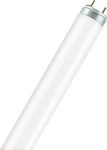 Osram L 36W/954 FLH1, Energieeffizienzklasse: G (A-G)