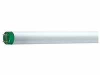 Philips 26857040, Philips MASTER TL-D Eco - Fluorescent lamp - null: 16 W -