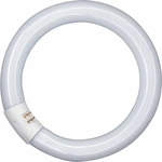 Osram Rinr&ouml;hre L 32W/840 C G10Q FLH1, Energieeffizienzklasse: G (A-G)