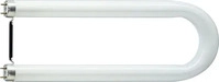 Philips 95468815, TL-D U 36W 840 T8 U-R&ouml;hre Philips, Energieeffizienzklasse: G (A-G)