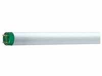 Philips 26861740, Philips MASTER TL-D Eco - Fluorescent lamp - null: 16 W -