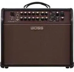 ACS-Pro Acoustic Singer Pro