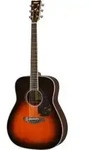 FG830 TBS Tobacco Brown Sunburst