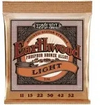 EB2148 Earthwood Phosphor-Bronze