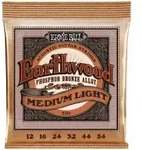 EB2146 Earthwood Phosphor-Bronze