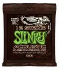 2153 Slinky-Acoustic 12-String