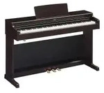 Arius YDP165R Palisander